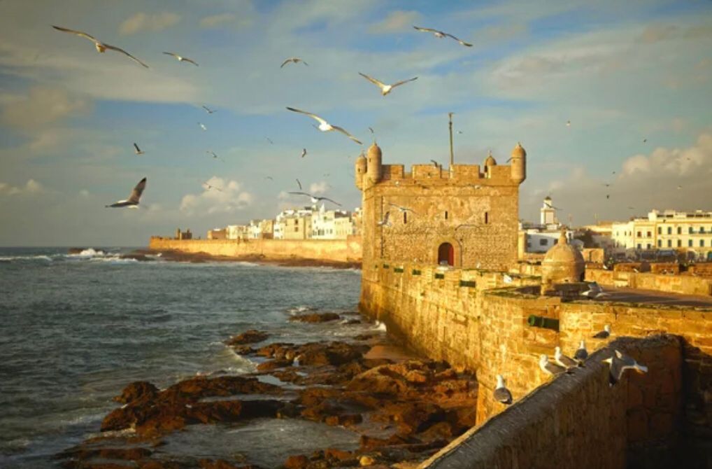 Essaouira day trip